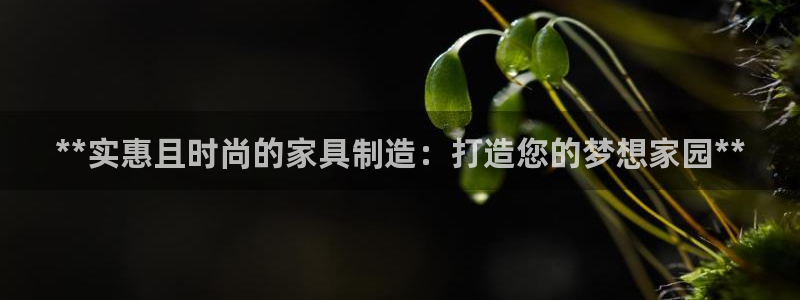 彩神官方登录：**实惠且时尚的家具制造：打造您的梦想家园**