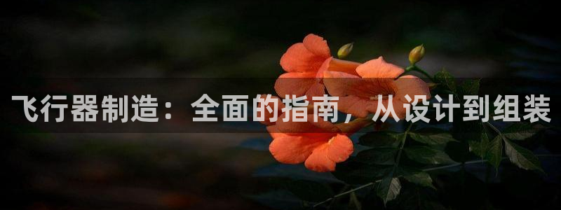 彩神v大众娱乐：飞行器制造：全面的指南，从设计到组装