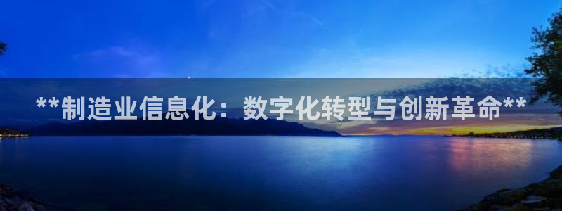 彩神赢的钱是哪里来的啊：**制造业信息化：数字化转型与创新革命**