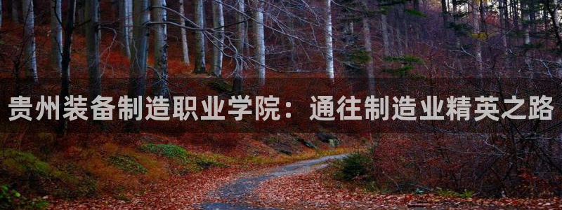 所有彩神购买首页都一样吗：贵州装备制造职业学院：通往制造业精英之路