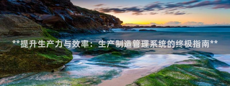彩神赢钱了吗是真的吗：**提升生产力与效率：生产制造管理系统
