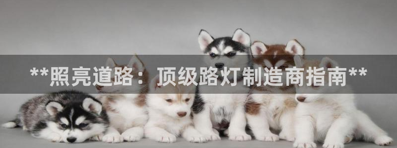 彩神v8app：**照亮道路：顶级路灯制造商指南**