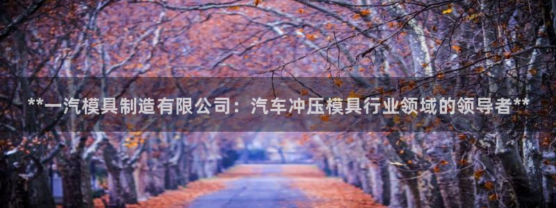 彩神v8是一个什么平台：**一汽模具制造有限公司：汽车冲压模具行业领域的领导者**