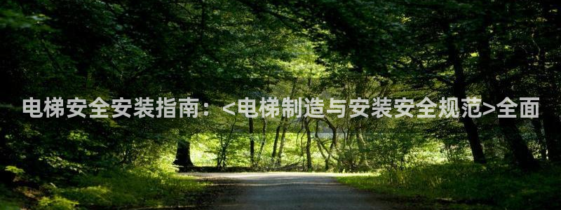 彩神争霸官方登录：电梯安全安装指南：<电梯制造与安装安全规范