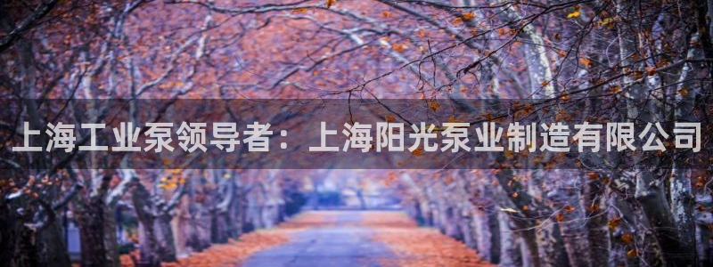 彩神争霸平台：上海工业泵领导者：上海阳光泵业制造有限公司
