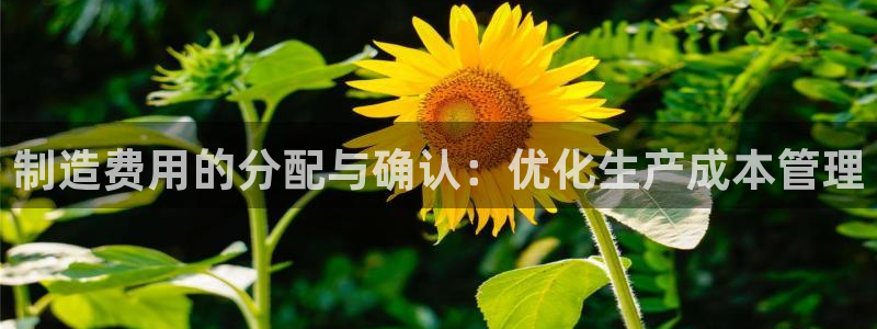 彩神是正规平台吗知乎：制造费用的分配与确认：优化生产成本管理