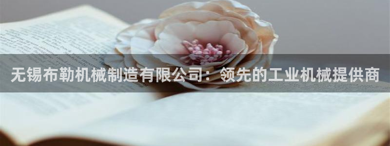 大发彩神官网下载：无锡布勒机械制造有限公司：领先的工业机械提供商