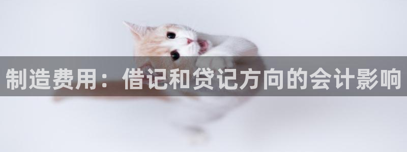 彩神ii官方网：制造费用：借记和贷记方向的会计影响