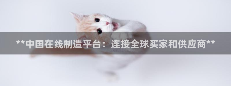 彩神v平台：**中国在线制造平台：连接全球买家和供应商**