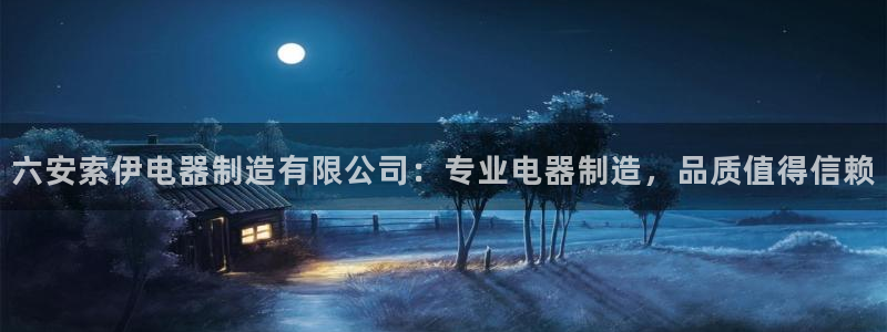 彩神vip购彩大厅：六安索伊电器制造有限公司：专业电器制造，