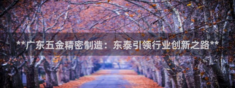 彩神v8手机客户端下载：**广东五金精密制造：东泰引领行业创新之路**