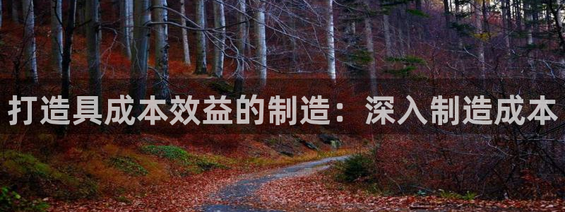 彩神v1官网：打造具成本效益的制造：深入制造成本