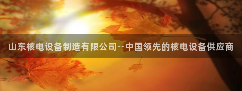 彩神ⅴll是什么样平台：山东核电设备制造有限公司--中国领先