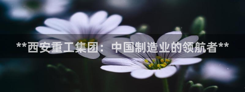 彩神ix官网：**西安重工集团：中国制造业的领航者**