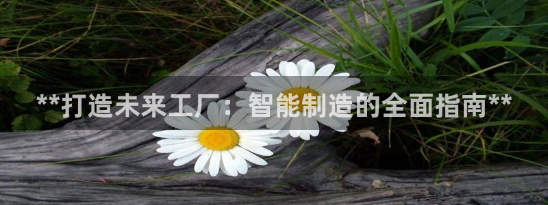 彩神v8平台正规吗知乎：**打造未来工厂：智能制造的全面指南