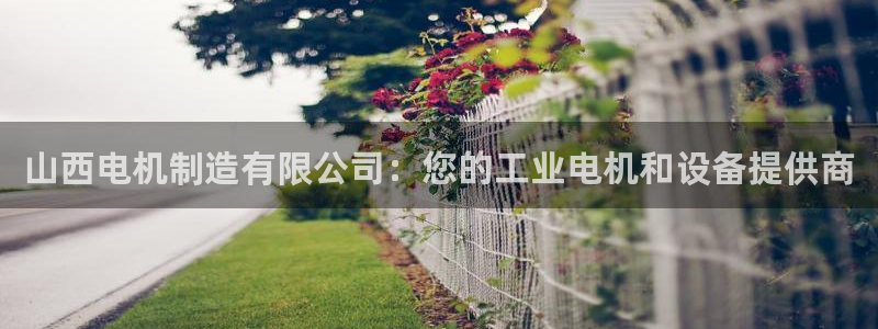 新版彩神v8登录不了：山西电机制造有限公司：您的工业电机和设备提供商