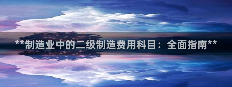 彩神平台可以破解吗：**制造业中的二级制造费用科目：全面指南