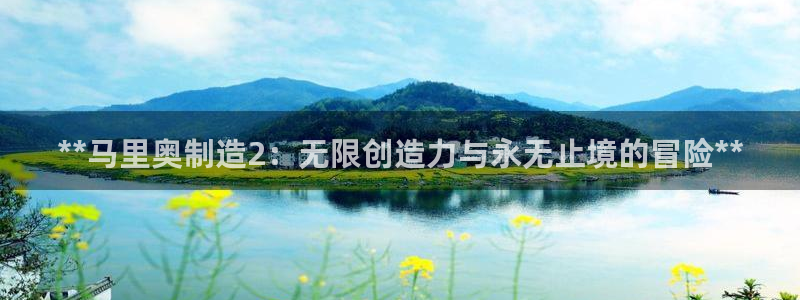 彩神输的钱是赌博还是诈骗：**马里奥制造2：无限创造力与永无止境的冒险**