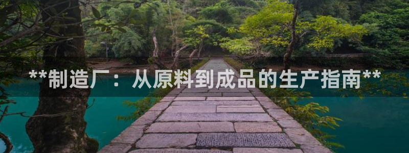 彩神通官方网：**制造厂：从原料到成品的生产指南**