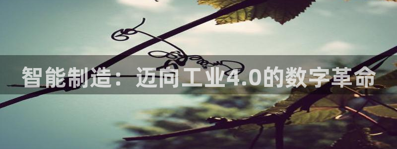 彩神vll首页企业文化：智能制造：迈向工业4.0的数字革命