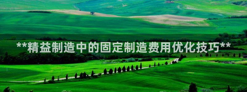 彩神ios下载：**精益制造中的固定制造费用优化技巧**