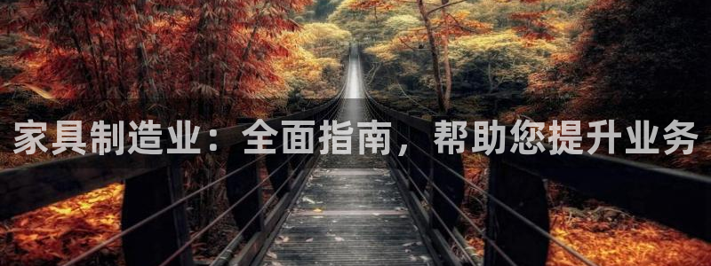 彩神viii下载安卓：家具制造业：全面指南，帮助您提升业务