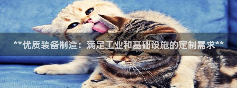 彩神用户登录：**优质装备制造：满足工业和基础设施的定制需求**
