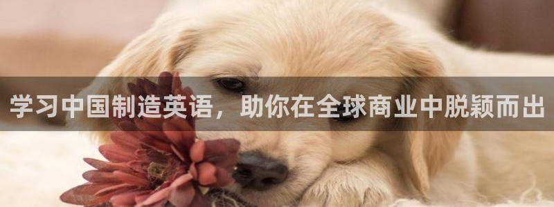 彩神v1破解器