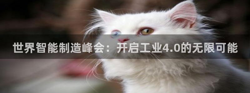 彩神到底能不能赚钱：世界智能制造峰会：开启工业4.0的无限可能