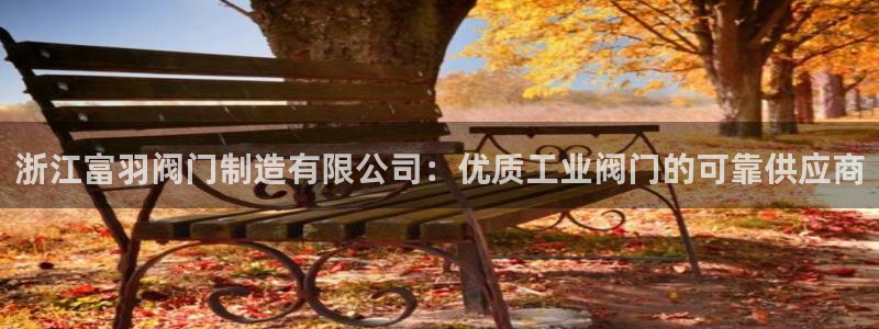 彩神vl购彩大厅：浙江富羽阀门制造有限公司：优质工业阀门的可靠供应商