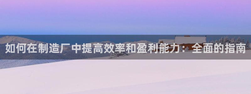 彩神平台：如何在制造厂中提高效率和盈利能力：全面的指南