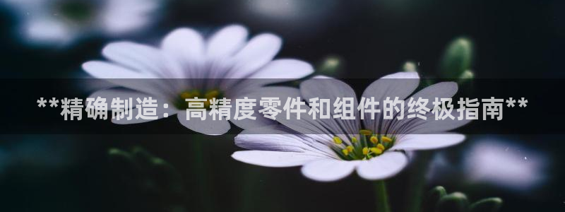 彩神到底能不能赚钱：**精确制造：高精度零件和组件的终极指南