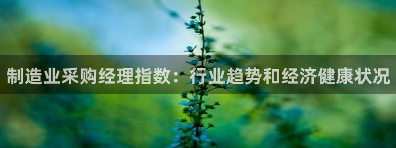 彩神赢钱了吗知乎：制造业采购经理指数：行业趋势和经济健康状况