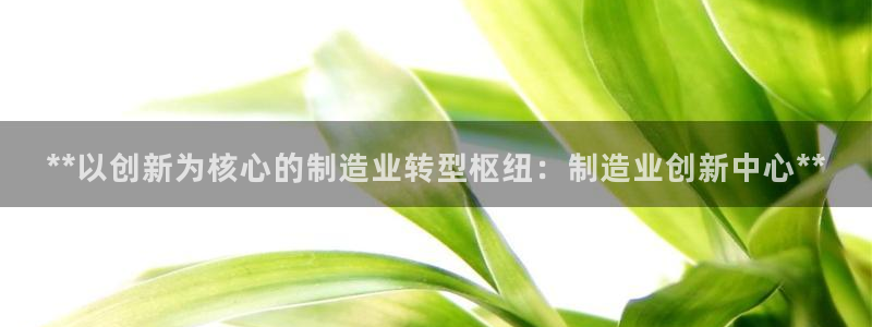 彩神v争霸是啥：**以创新为核心的制造业转型枢纽：制造业创新中心**