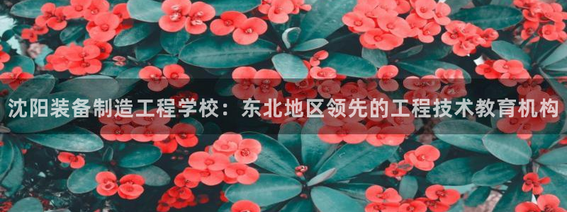 彩神8官网版是正规的吗：沈阳装备制造工程学校：东北地区领先的工程技术教育机构