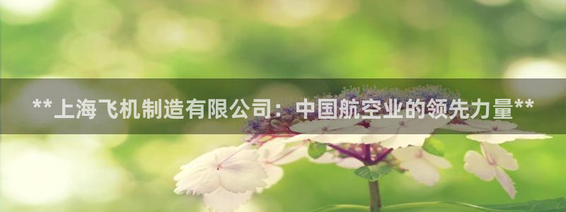 彩神网可以赚钱是真的吗：**上海飞机制造有限公司：中国航空业的领先力量**