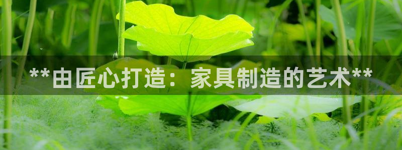 彩神ios下载：**由匠心打造：家具制造的艺术**
