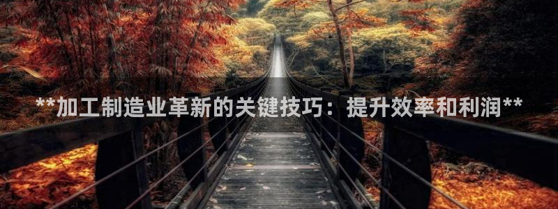 彩神app能挣到钱吗：**加工制造业革新的关键技巧：提升效率和利润**