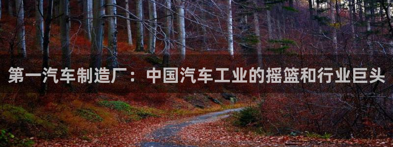 彩神旗下有哪些平台可以看：第一汽车制造厂：中国汽车工业的摇篮和行业巨头