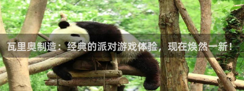 彩神到底能不能赚钱：瓦里奥制造：经典的派对游戏体验，现在焕然一新！