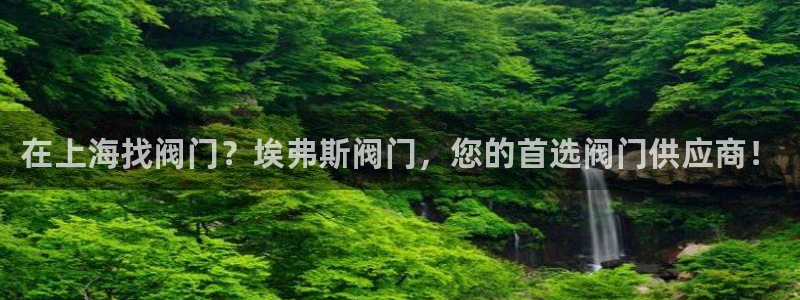 彩神velcome购彩大厅：在上海找阀门？埃弗斯阀门，您的首选阀门供应商！