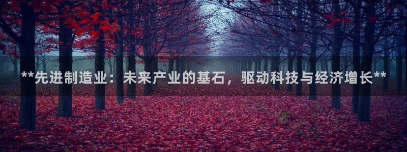 在彩神网输了六万多怎么拿回来：**先进制造业：未来产业的基石