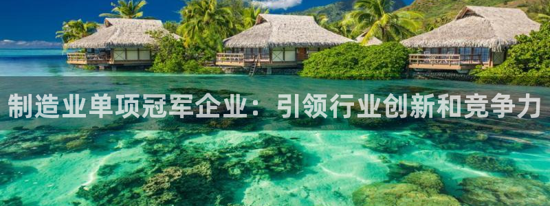 彩神v8下载：制造业单项冠军企业：引领行业创新和竞争力