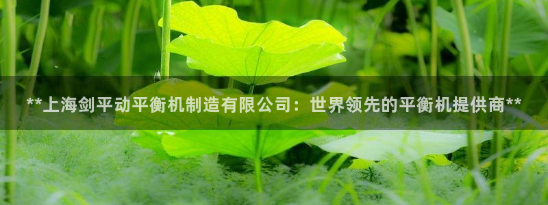 彩神ix官网：**上海剑平动平衡机制造有限公司：世界领先的平衡机提供商**
