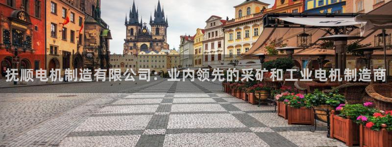新版彩神v8登录不了：抚顺电机制造有限公司：业内领先的采矿和