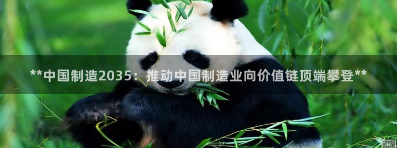 彩神8官网500：**中国制造2035：推动中国制造业向价值链顶端攀登**
