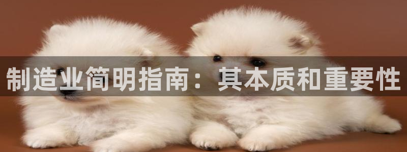 天天赢彩神：制造业简明指南：其本质和重要性