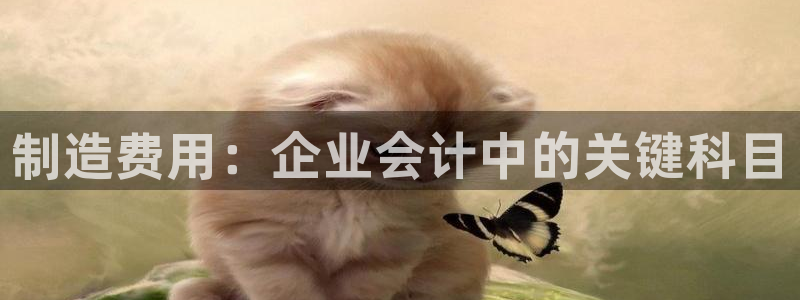 彩神velcome购彩大厅：制造费用：企业会计中的关键科目