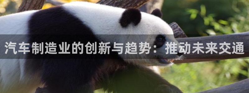 所有彩神购买首页都一样吗：汽车制造业的创新与趋势：推动未来交通