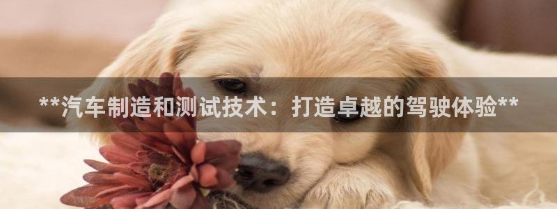 下载彩神v8：**汽车制造和测试技术：打造卓越的驾驶体验**
